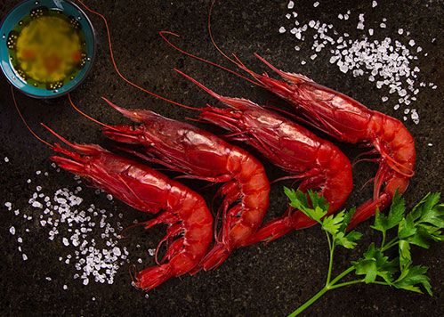 Swerp • Testo e immagine